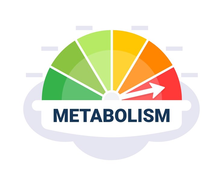 Boost Your Metabolism for Faster Weight Loss: Calorie Deficit Strategies